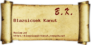 Blazsicsek Kanut névjegykártya